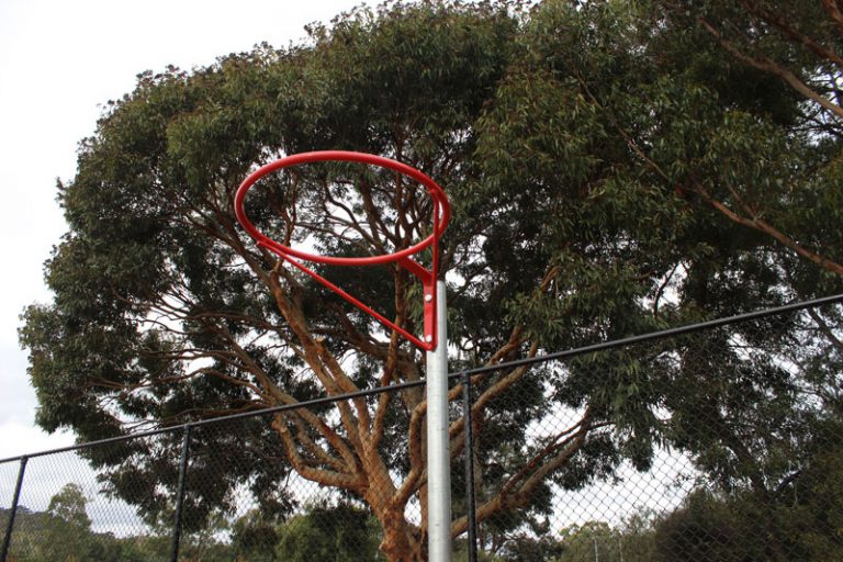 63392 16mm BoltOn Netball Ring Heavy Duty Truline Australia